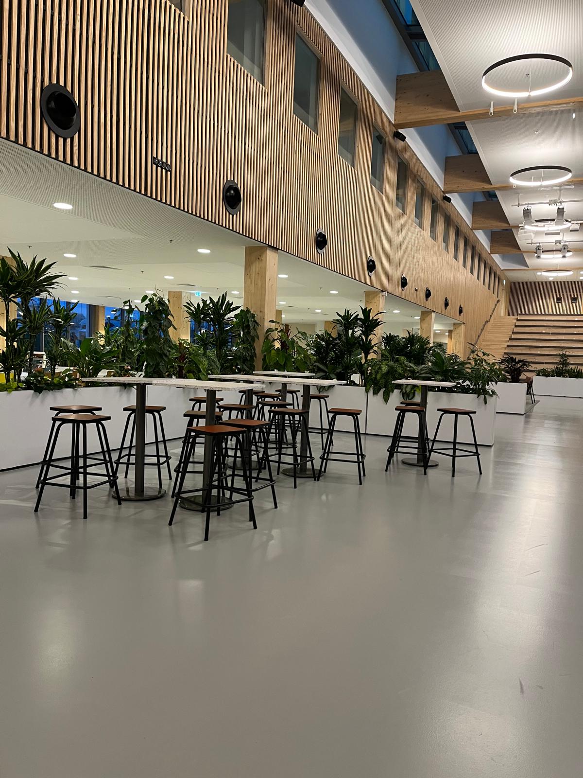 Cloisons placo bureaux
